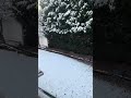 the snow got stronger overnight reupload due to copyright christmas merrychristmas