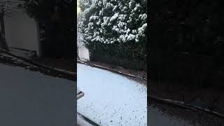 The snow got stronger overnight (REUPLOAD DUE TO COPYRIGHT) #christmas #merrychristmas