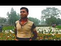 পঞ্চগড়ে বানিজ্যিক ভাবে ফুলের চাষ panchagarh commercial floriculture beautiful panchagarh district