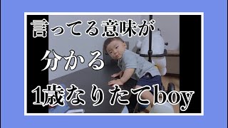 1歳なりたて！早くも親の言うことを聞くいい子