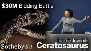 The $30 Million Bidding Battle for a Jurassic Dinosaur Fossil | Sotheby’s