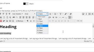 BB Learn ACCESSIBLE WEB PAGES USING THE BUILT-IN HTML EDITOR
