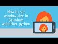 how to set window size in selenium python || How to Handle Windows