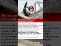 Японские камикадзе отчаянные пилоты вов война камикадзе пилот история историческиефакты во