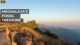 The Cave With Full of Rich Fossils: Arwah Cave | Meghalaya in 4K