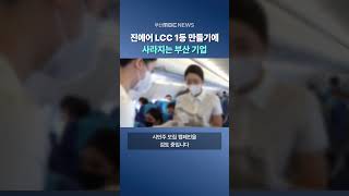 '진에어 LCC 1등 만들기'에 사라지는 부산 기업