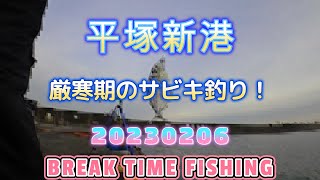 【平塚新港】20230206入れ喰い  厳寒期のサビキ釣り！ #神回 #真冬の釣り #入れ喰い#ファミリーフィッシング#ヒイラギ#アジ釣り#コマセ#釣れる釣場#大漁