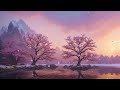 serene cherry blossom ambience relaxing falling petals u0026 soothing music ロフィミュージック