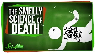 The Strange, Smelly Science of Decomposing Bodies