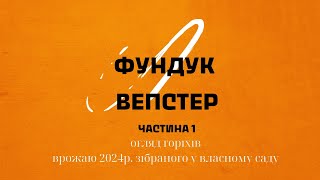 Фундук Вепстер -огляд горіхів, ч.1 #сад #фундук #врожай