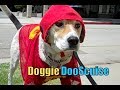 Doggie DooScuise