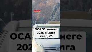 Автоунааны милдеттүү камсыздандыруу 2025- жылдын 1- январына калды#ОСАГО #унаа #транспорт