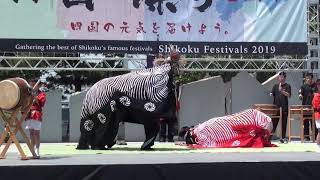 七宝古流本村夫婦獅子舞2019.5.4-1