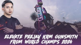 ELEVATE PEEJAY'S HIPFIRE KRM GUNSMITH