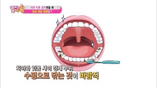 입속 세균을 잡아라! 간단하게 풍치를 예방하는 방법! ＜식사 직후 양치하기＞ ②