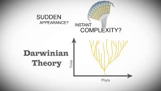 Cambrian Explosion | That's a Fact