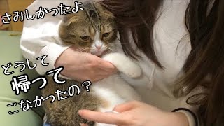 ママとの再会に甘えん坊になる猫