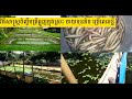 វិធីសាស្រ្ដចិញ្ចឹមត្រីឆ្លូញក្នុងស្រះ ចាយទុនតិច ប្រើពេលខ្លី ហើយសម្បូរទីផ្សារលក់បានតម្លៃខ្ពស់