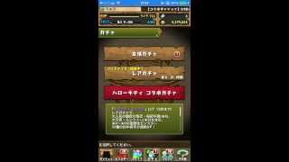 パズドラ２２００万\u0026２３００万DLイベントゴットフェス②