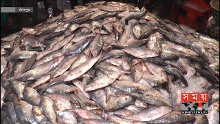 সরবরাহ কমায় দাম বেড়েছে ইলিশের | Ilish Fish Price | Somoy TV