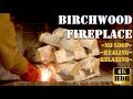 Birchwood Bliss: Cozy Fireplace Ambiance for Supreme Relaxation. Real time, No loop, 4K HDR