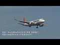 【成田空港】時代と流行、そして個性？飛行機たちの多彩なデザインを徹底解剖してみた