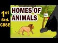 Homes of Animals | 1st Std | Science | CBSE Board | Home Revise