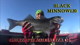 ROBALOS XL CON BLACK MINNOW 120 de FiiiSH . HD