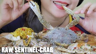 ASMR RAW SENTINEL CRAB SOAKED IN THAI STYLE FISH SAUCE , EATING SOUNDS | LINH-ASMR