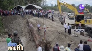 ชาวบ้านตำบลอ่างทองทำพิธีบวงสรวง ขุดต้นตะเคียนอายุกว่า 100 ปี