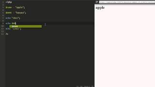 PHP basic tutorial. Variable names are case sensitive.