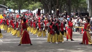 さぬき舞人／ＮＨＫ前／原宿　スーパーよさこい2013（初日）