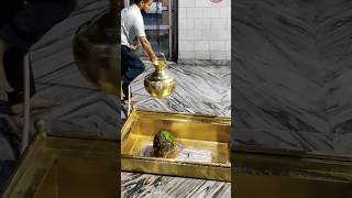 भगवान शिव की कृपा का स्रोत: सोमेश्वर मंदिर, ऋषिकेश | #viral #shiv #rishikesh #temple #trending