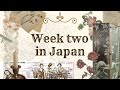 japan daily vlog 🍶 ghibli shop in bandai, niigata