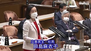 参議院 2022年03月08日 予算委員会公聴会 #13 田島麻衣子（立憲民主・社民）