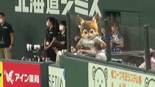 20200823 オープニングダンスを待つポリーちゃん