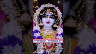 HAMARO DHAN RADHA SHREE RADHA #jaishree #radhe #radhe #radhekrishna #radheshyam #shorts #video #🌺🌺🙏🙏