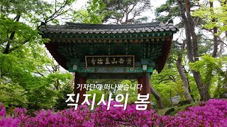 SNS 서포터즈가 떠나봤습니다💕 직지사의 봄