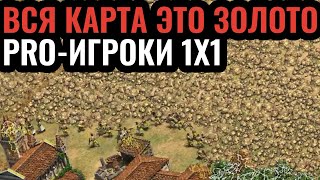 ЗОЛОТОЕ БЕЗУМИЕ:  Шоуматч от лучших игроков СНГ на Gold Nothing по Age of Empires 2