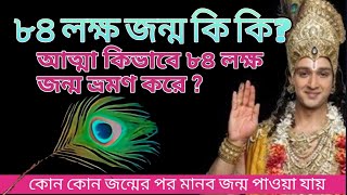 আত্মা কিভাবে ৮৪ লক্ষ জন্ম ভ্রমণ করে? কোন কোন জন্মের পর মানব জন্ম পাওয়া যায়?