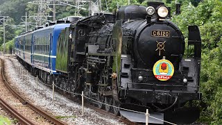 8731レ SLぐんまちゃん水上号 C61 20+12系 津久田S字通過