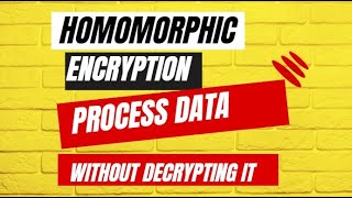 Basics of Homomorphic Encryption