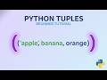 What Is Python Tuple- (Tutorial 04)