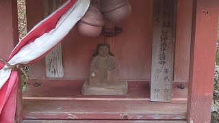 多治神社(京都府南丹市日吉町田原) タラヨウが御神木の神社