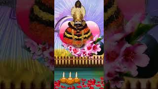 सारी इच्छाओं की पूर्ति ये भजन करेगा #bhajans #hindudevotionalsong #new #khatushyambhajan