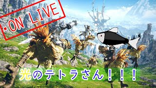 【FF14】光のテトラさんが全力で楽しむ物語【生配信】＃4