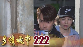 多情城市 EP222 黑心麵粉 抓到了！｜Golden City