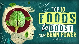 Top 10 Foods To Boost Your Brain Power & Health