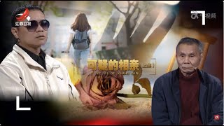 《金牌调解》可疑的相亲（上）20240415