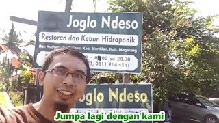 Joglo Ndeso Hydrophonic Garden \u0026 Resto #SyakuraHappyFams